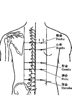 五俞穴口訣|重點！中醫執業醫師針灸學之「特定穴」備考口訣